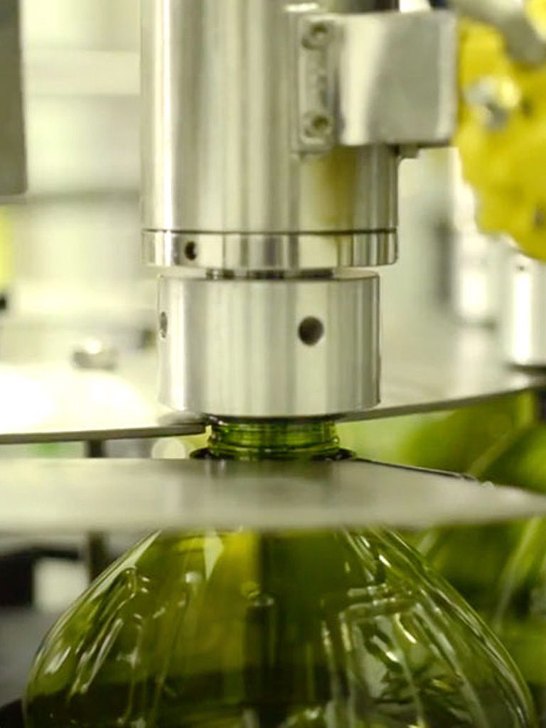 Aceite de oliva producción para exportación
