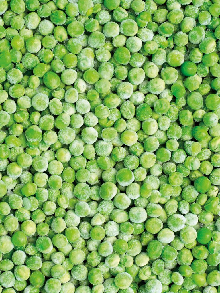 Fabricante de guisantes congelados al por mayor