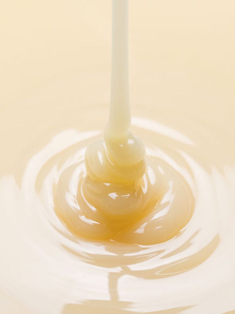 Leche condensada procesos de fabricación
