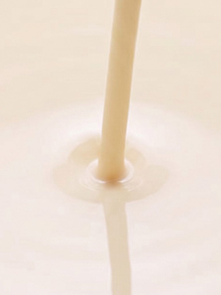 Fabricación y exportación de leche evaporada