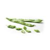 Flat green beans /Romano beans